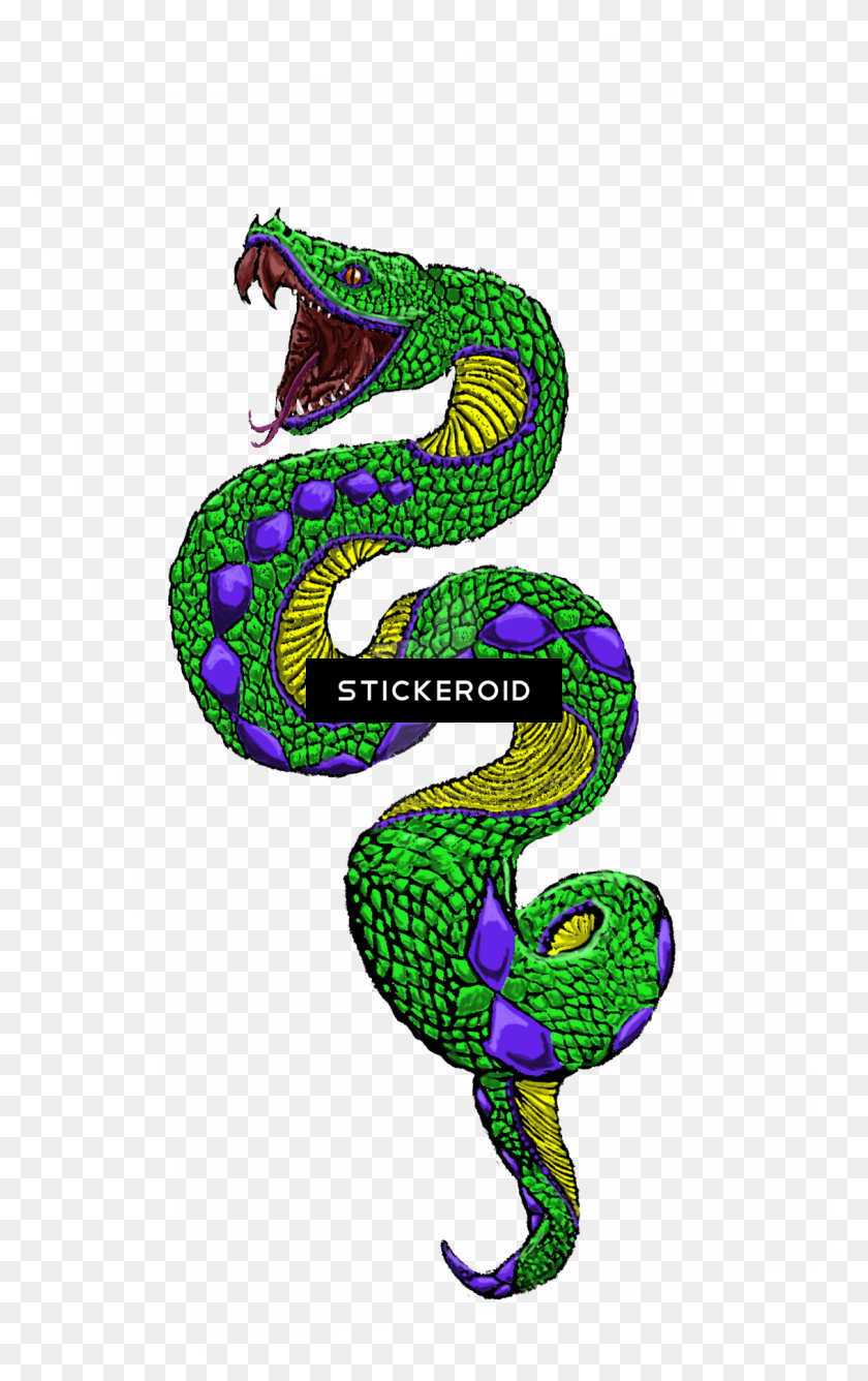 1132x1852 Serpiente - Serpiente De Cascabel Png