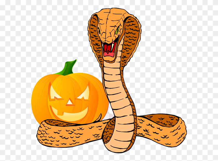 600x563 Snake And Pumpkin Clip Art - Snake Black And White Clipart