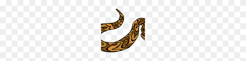 150x150 Clipart De Animación De Dibujos Animados De Serpiente - Anaconda Clipart