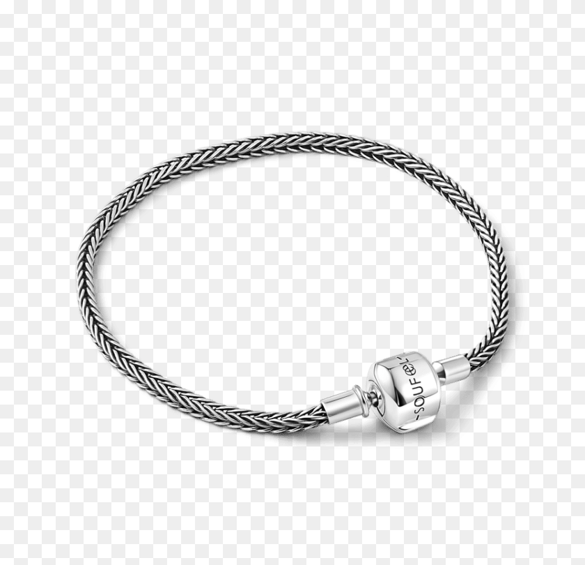 750x750 Snake Chain Bracelet With Silver Clasp - Silver Chain PNG