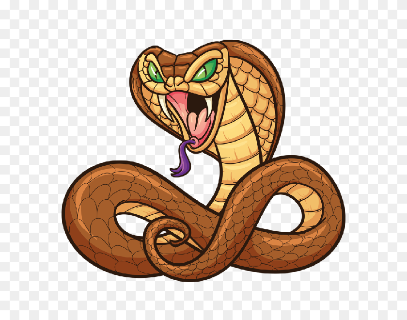 600x600 Snake Clipart Snake - Snake Cartoon PNG
