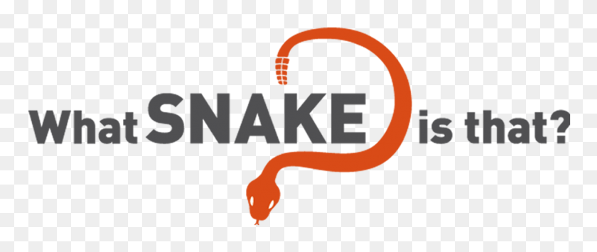 1195x452 Snake Identification - Snake Tongue PNG