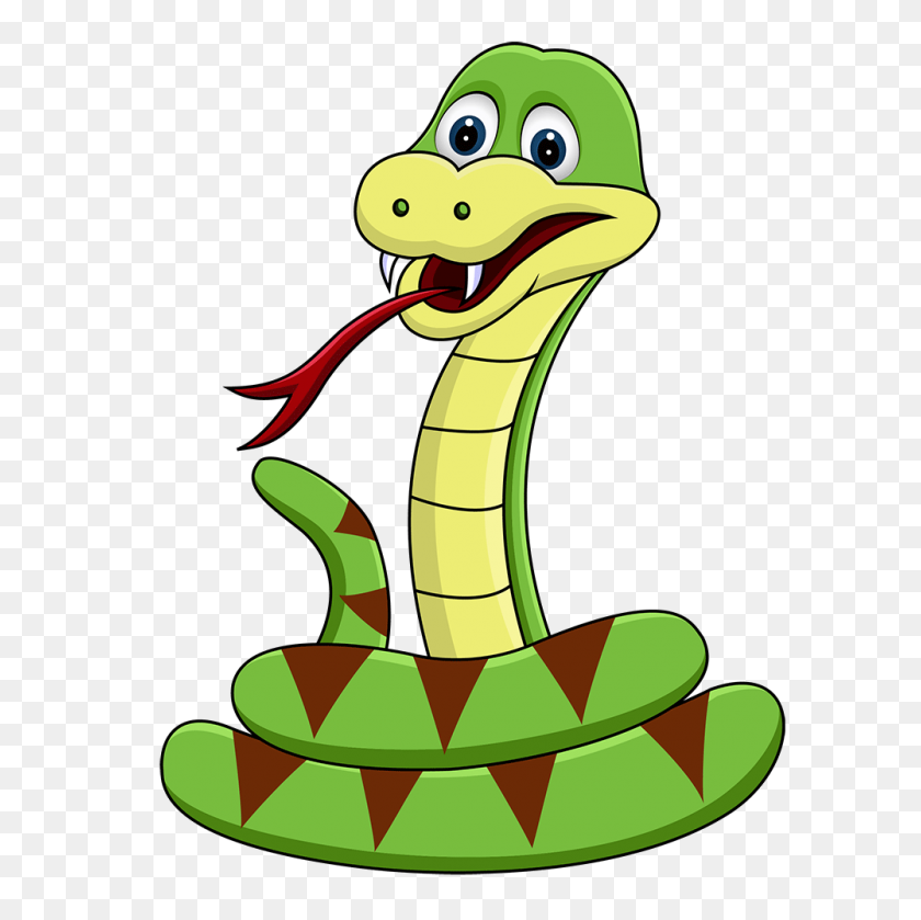 1000x1000 Snake Information For The Riebeek Valley - Snake Head Clipart