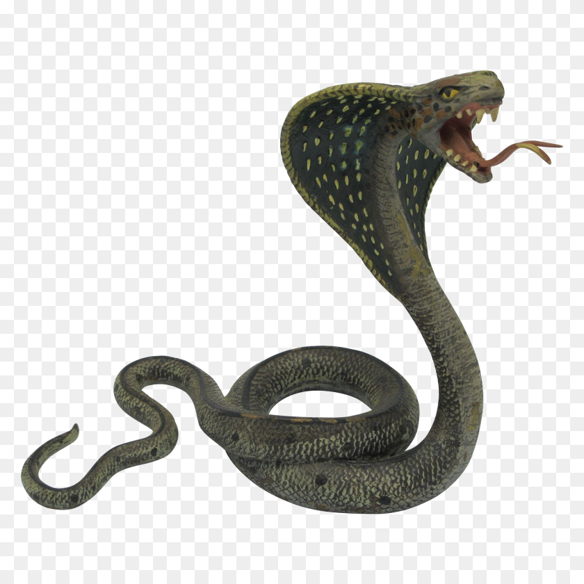 1679x1679 Snake Png Image - Serpent PNG
