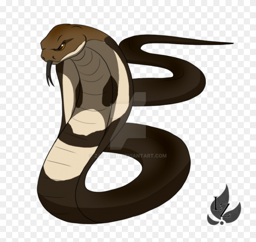 800x752 Snake Png Images Transparent Free Download - Snake Cartoon PNG