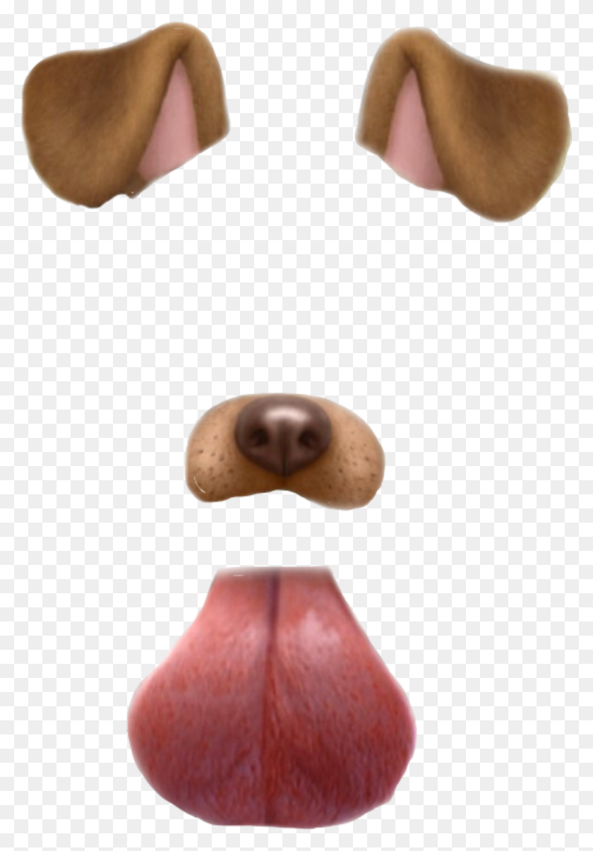 1046x1536 Snapchat Dog Filter Dog Freetoedit - Dog Filter PNG