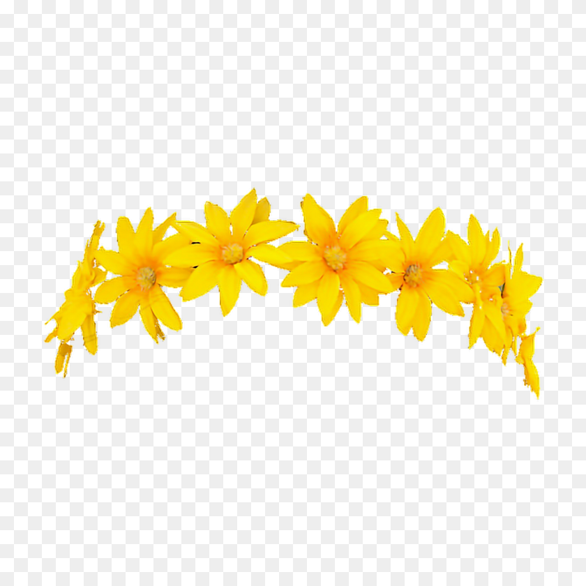 Snapchat Filter Flowercrown Character Render Freetouse Snapchat