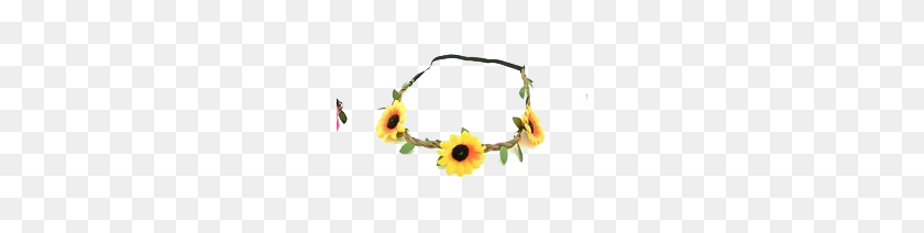 228x152 Snapchat Flower Crown Png Free Download - Flower Crown PNG