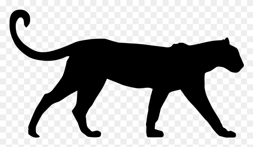 1280x703 Snow Leopard Cat Cougar Clipart - Black Panther Clipart