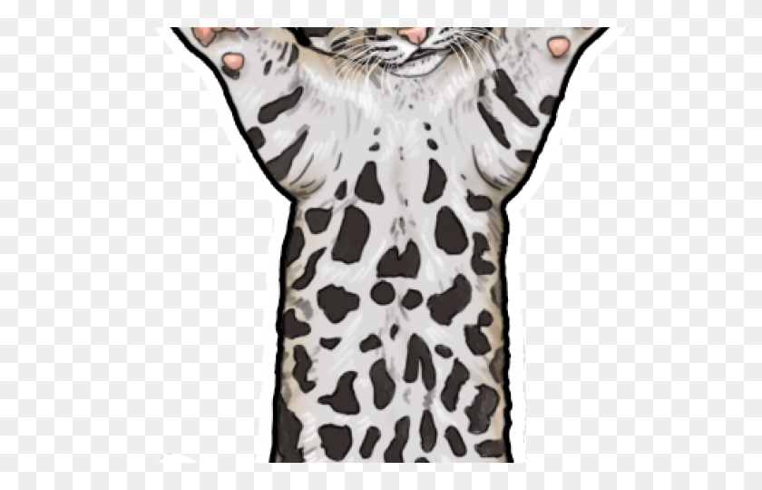 640x480 Snow Leopard Clipart Clip Art - Bengal Tiger Clipart
