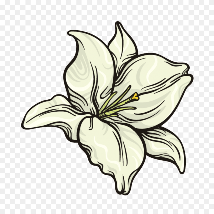 1024x1024 Snow White Flower Png Transparent Free Png Download Png Vector - White Flower PNG