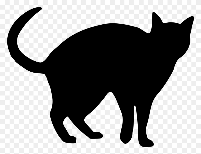 1000x750 Snowshoe Cat Silhouette Drawing Black Cat Kitten - Snowshoe Clipart