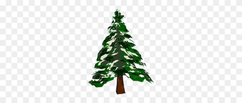 231x300 Snowy Pine Tree Clipart - Spruce Tree Clip Art