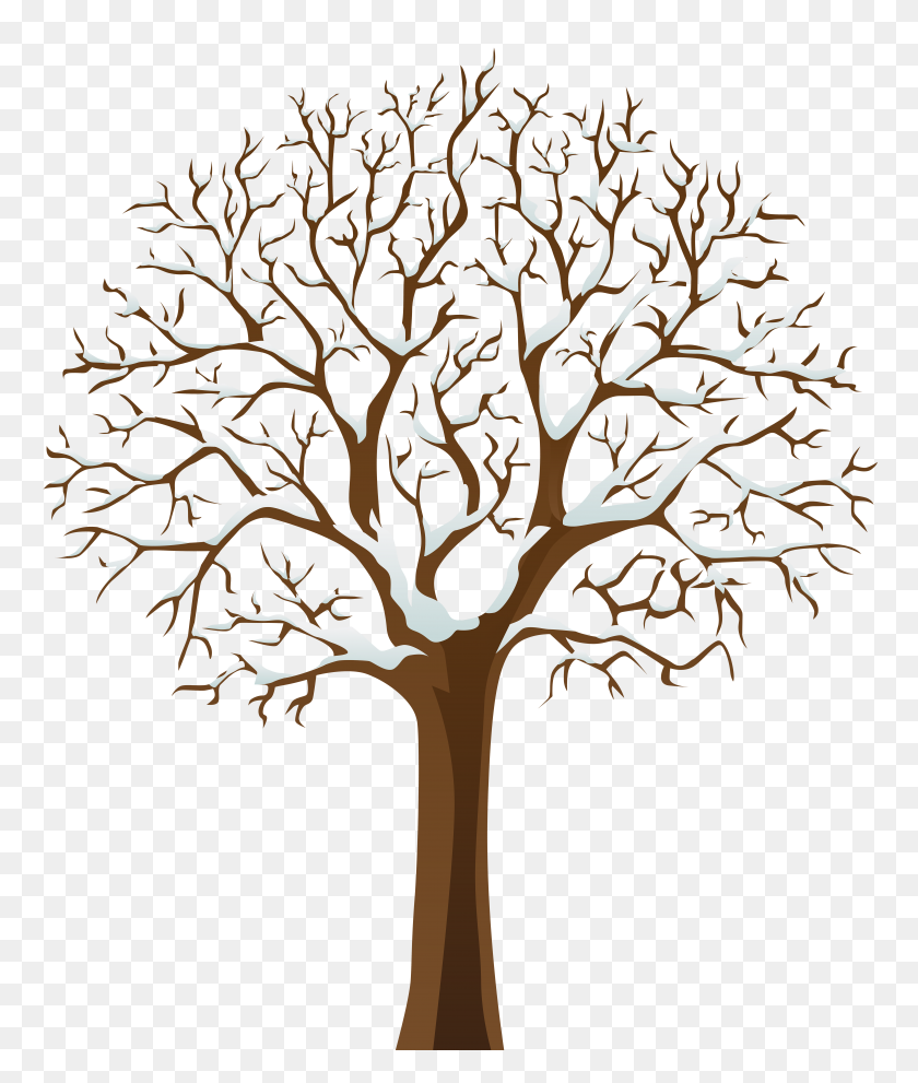 6700x8000 Snowy Winter Tree Transparent Png - Tree Clipart Transparent