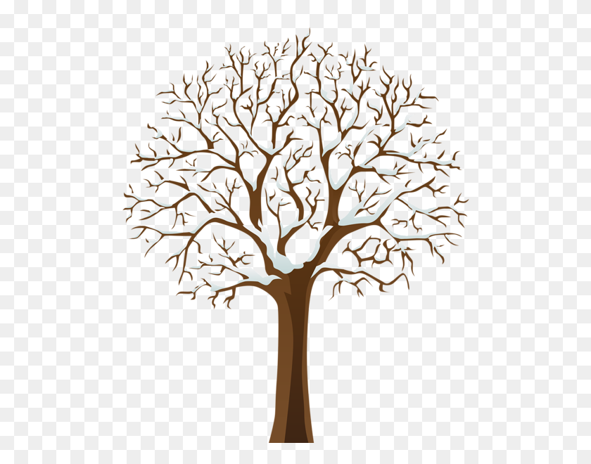503x600 Snowy Winter Tree Transparent Png Image Clipart Winter Stuff - Tree Trunk PNG