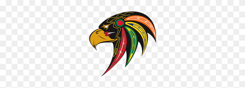 250x243 So I Guess Fighting Hawks It Is - Hawk Logo PNG