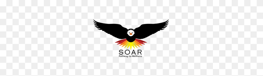 300x182 Soar Pathway To Wellness - Pathway PNG