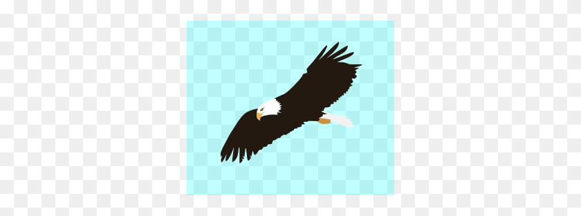 300x252 Imágenes Prediseñadas De Águila Alza - Imágenes Prediseñadas De Cabeza De Águila En Blanco Y Negro