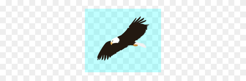 260x219 Soaring Eagle Head Clipart - Eagle Head Clipart