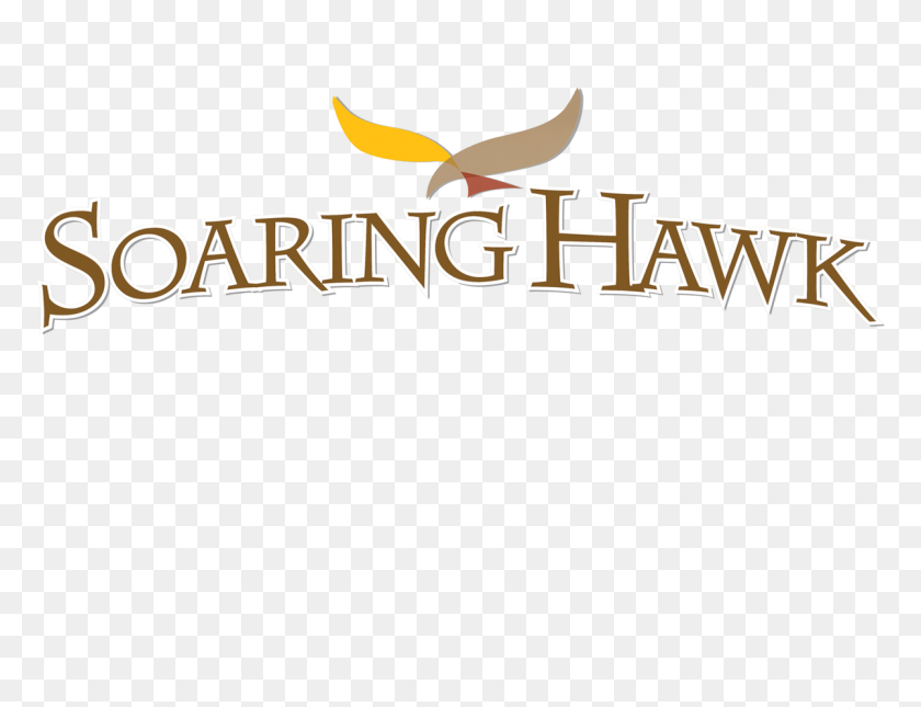 1200x900 Soaring Hawk - Berkshire Hathaway Logo PNG
