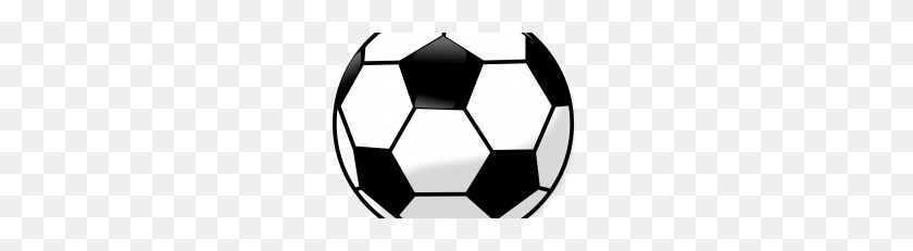 228x171 Soccer Ball Transparent Background Png Vector, Clipart - Soccer Ball PNG