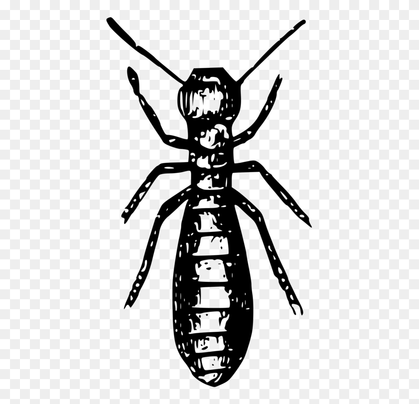 417x750 Social Insects Ant Termite Pest - Pest Control Clipart