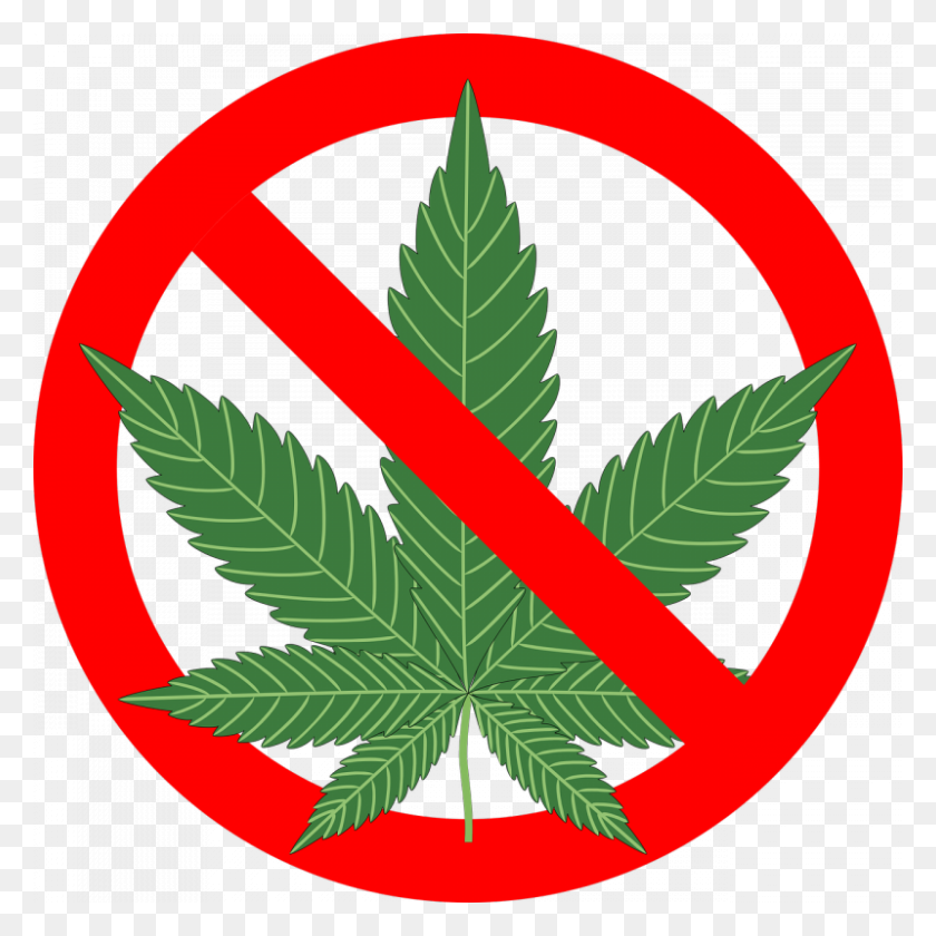 800x800 Soldotna Extends Ban On Cannabis Businesses Kdll - City Council Clipart
