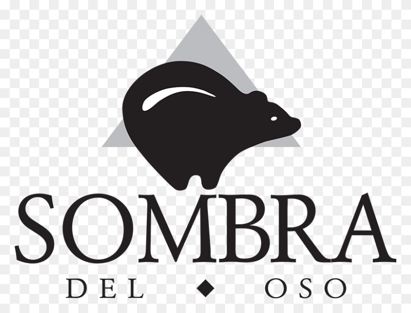 800x594 Sombra Del Oso In Albuquerque, Nm Nals Apartment Homes Instagram - Instagram Logo Black And White PNG