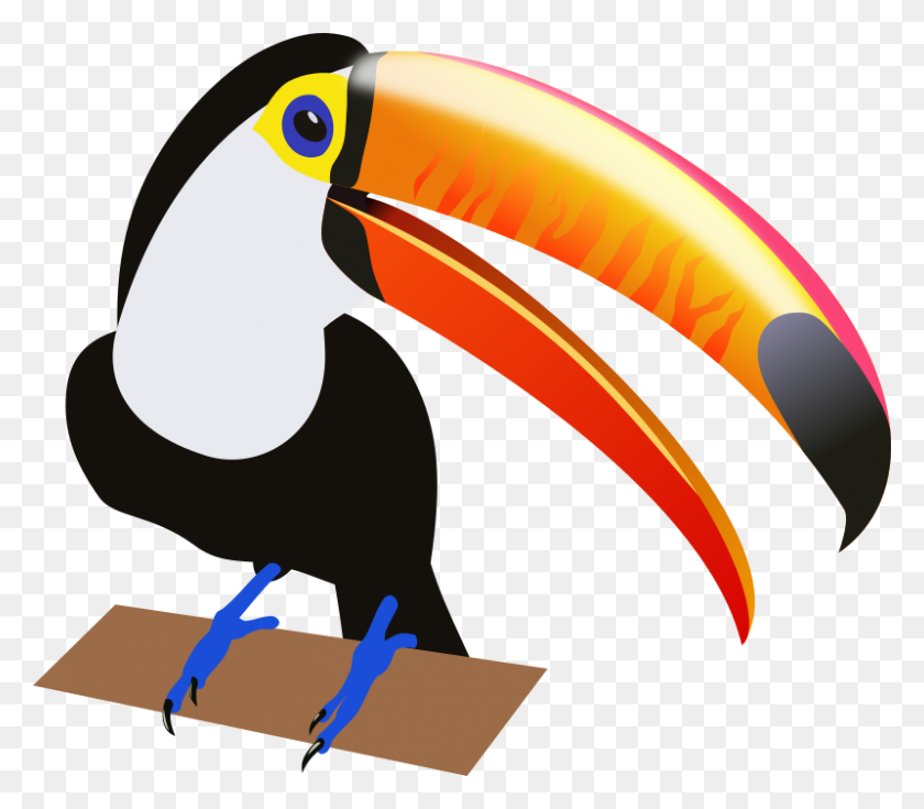 800x693 South America Clipart Toucan Bird - Latin America Clipart