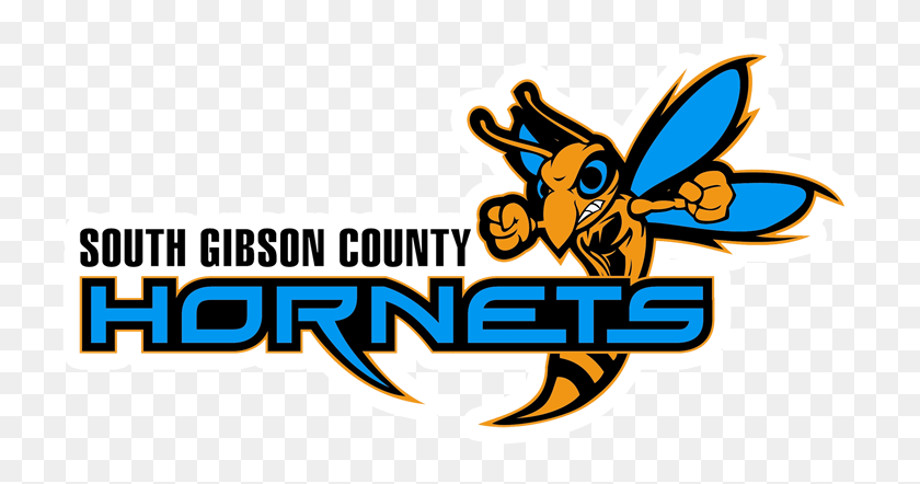 742x382 Sur Del Condado De Gibson - Logotipo De Los Hornets Png