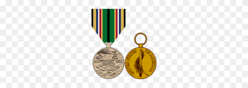 220x238 Southwest Asia Service Medal - Medal PNG
