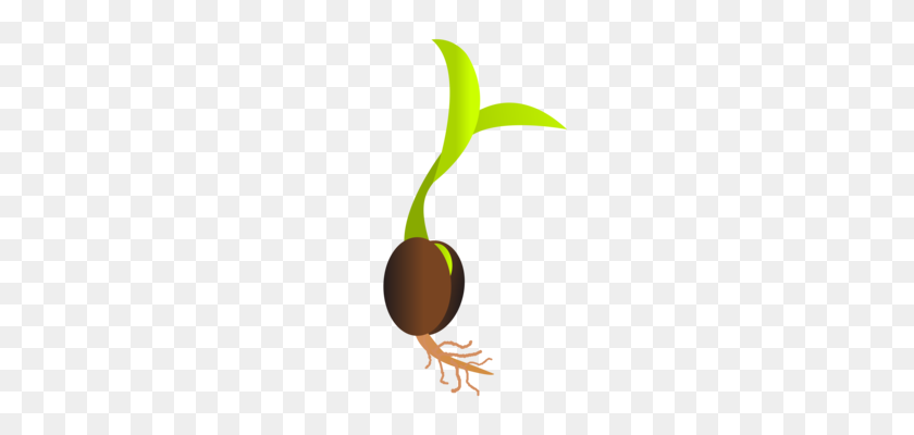 340x340 Soybean Sprout Sprouting - Brussel Sprouts Clipart