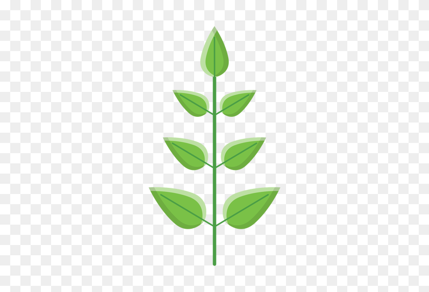 512x512 Spa Leaves Icon - Spa PNG
