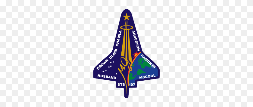 220x297 Transbordador Espacial Columbia Desastre - Transbordador Espacial Png