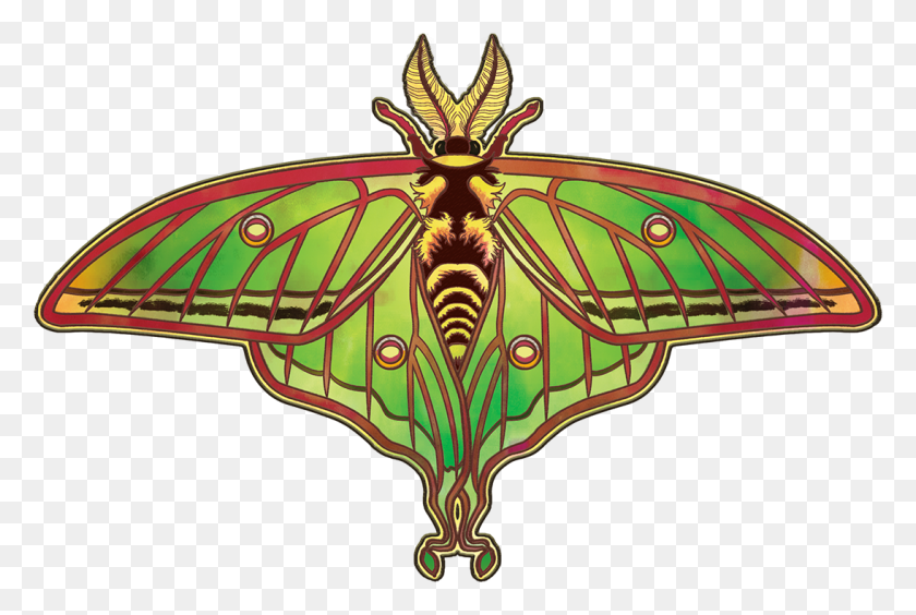 1094x708 Spanish Luna Moth - Moth PNG