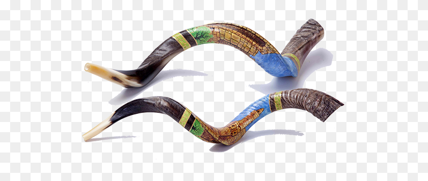 570x296 Special Edition - Shofar PNG