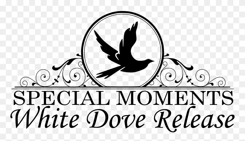 3604x1967 Special Moments White Dove Release - Dove Black And White Clipart