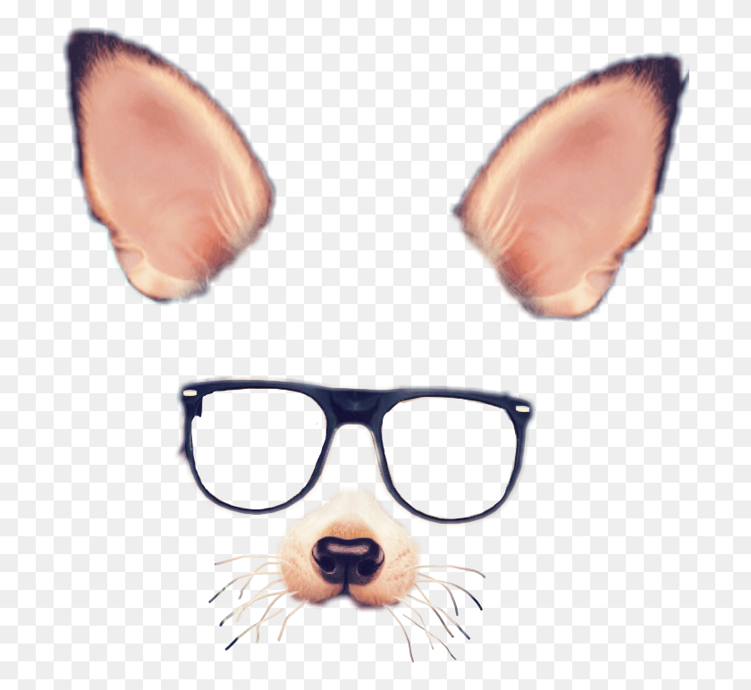 702x712 Spectacles Snapchat Photographic Filter - Dog Filter PNG