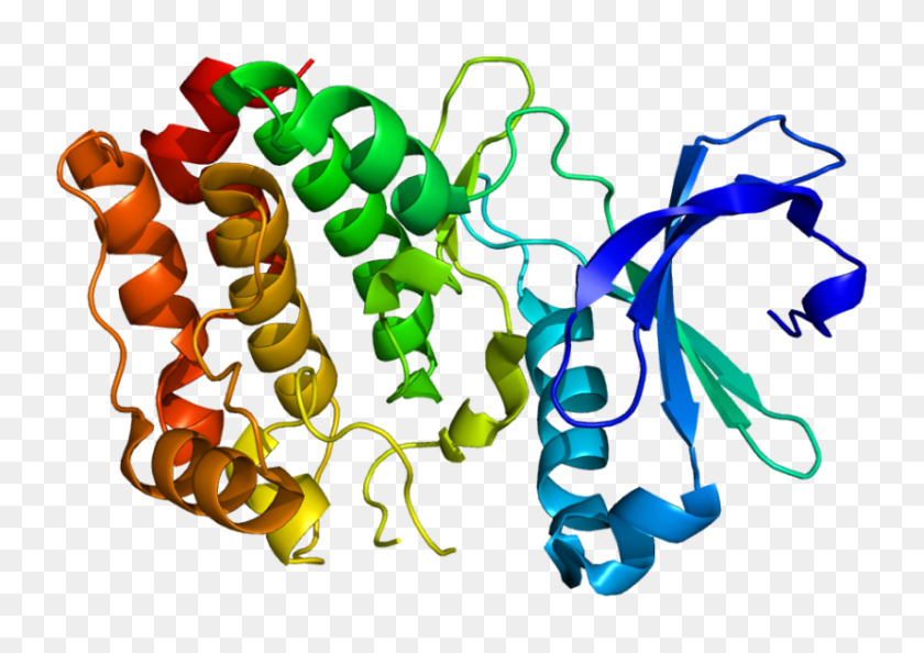 850x583 Speech About A Process The Central Dogma - Ribosome Clipart