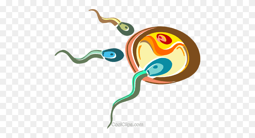 480x396 Sperm Fertilizing An Egg Royalty Free Vector Clip Art Illustration - Sperm PNG