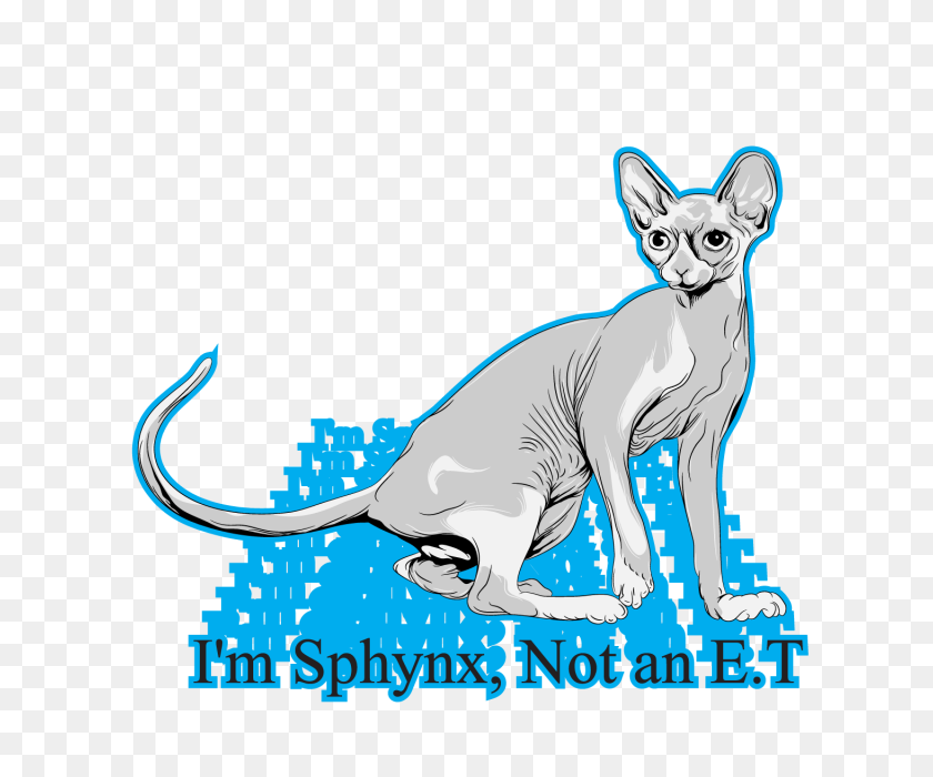 640x640 Sphynx Illustration, Cat, Sphynx, Illustration Png And Vector - Cat Vector Png