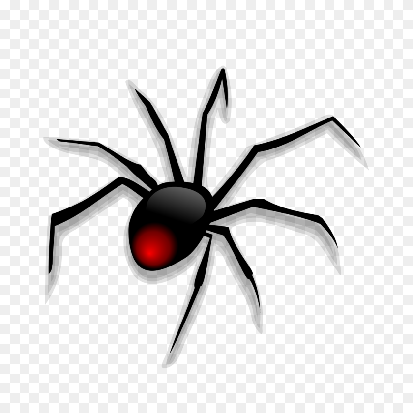 1024x1024 Spider - Tarantula PNG