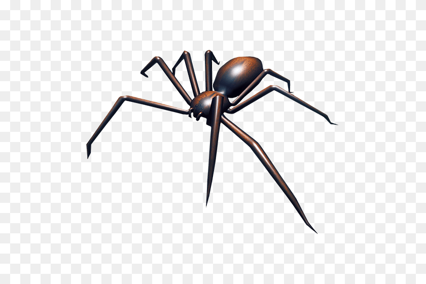 500x500 Spider - Tarantula PNG