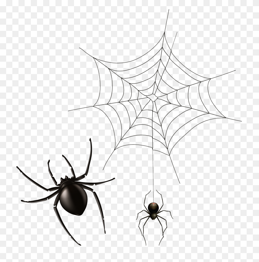 5087x5148 Spider And Cobweb Png Clipart - Cobweb PNG
