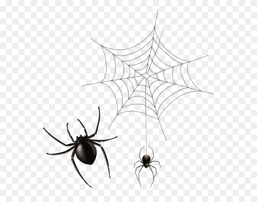 593x600 Spider And Cobweb Png Clipart Image Halloween - Spiderweb PNG