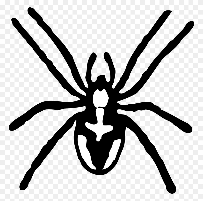 768x770 Spider Black And White Spider Clipart Black And White Free Images - Spider Clipart Black And White