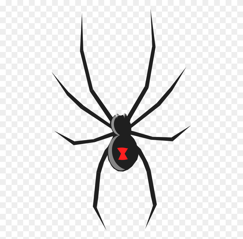 483x767 Spider Black And White Spider Clipart Black And White Free Images - Spider Clipart PNG