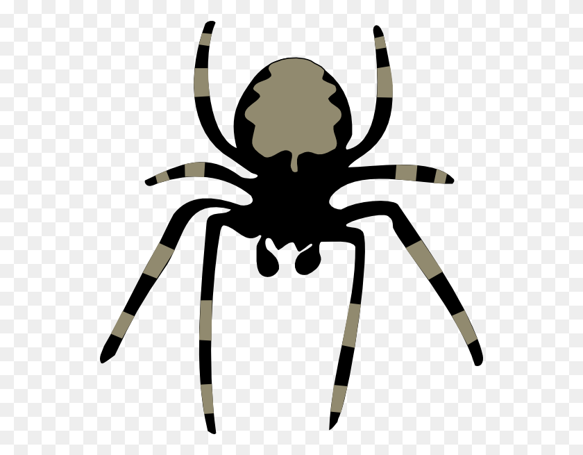 552x595 Spider Clip Art With Transparent Background Free - Spider Clipart PNG