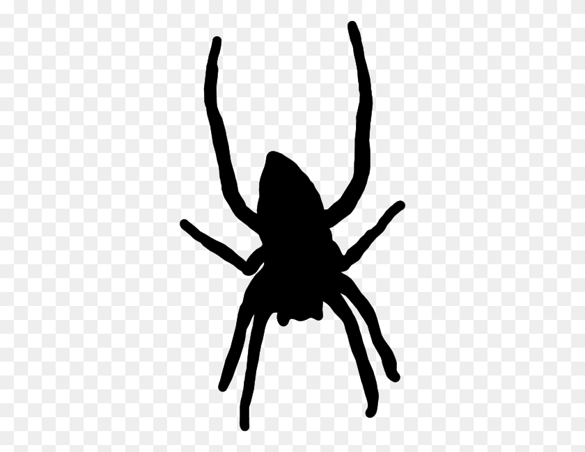 324x590 Spider Clip Arts Download - Black Widow Clipart