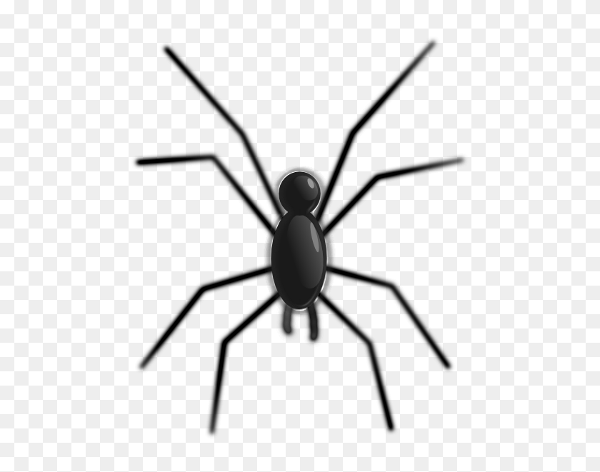 504x601 Spider Clip Arts Download - Black Widow Spider Clipart